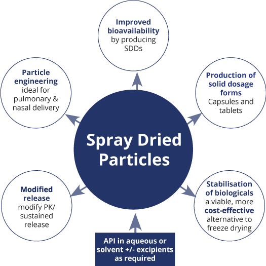 spray dried particles diagram